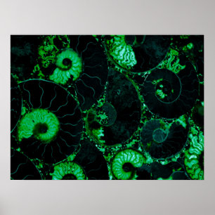 Poster Nautilus com casca verde, geometria assustada