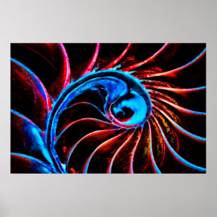 Poster Nautilus Freaky
