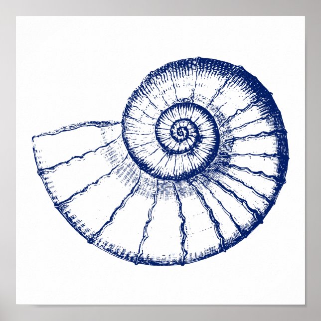 Poster Nautilus Sea Shell Minimalista (Frente)