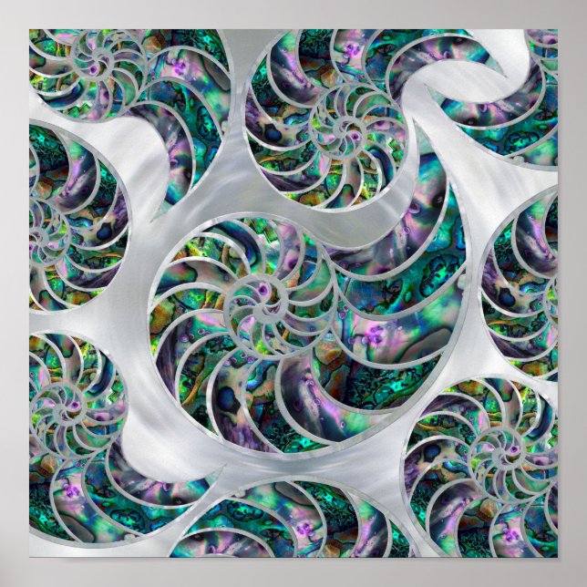 Poster Nautilus Shell Abalone e Pearl (Frente)