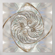Nautilus Shell - Mother of Pearl and gold