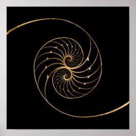 Poster Nautilus Shells - Par do Ouro