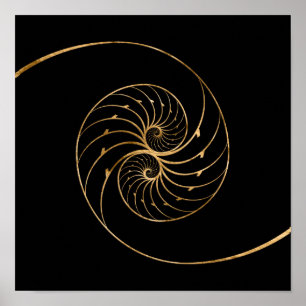 Poster Nautilus Shells - Par do Ouro