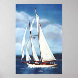 Poster Navegação