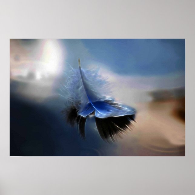 Pôster Navegação de penas brancas (Frente)