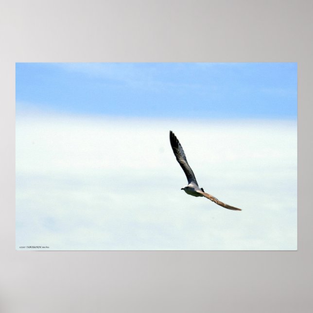 Poster Navegação - Personalizada (Frente)