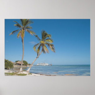 Poster Navios de cruzeiros no Maya da costela