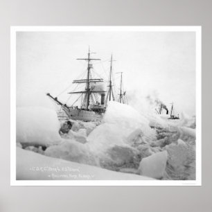 Pôster Navios de navigação Nome, Alaska 1904