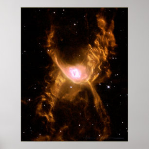 Poster Nebulosa 16x20 da aranha vermelha (16x20)