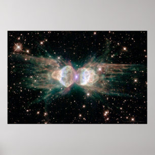 Poster Nebulosa 30x20 da formiga (27x18)