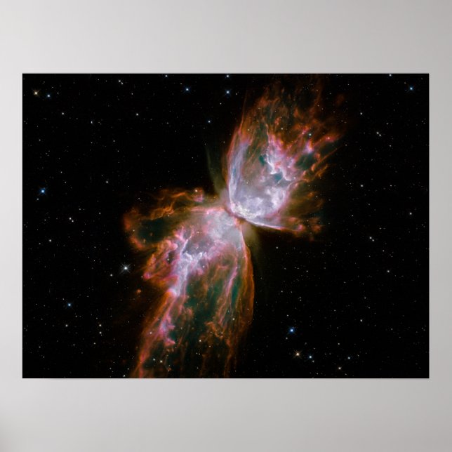 Pôster Nebulosa Borboleta (Frente)