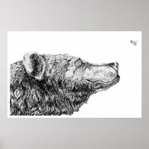 Poster Necessidades do urso por Inkspot