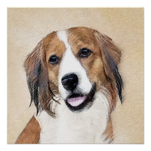 Pôster Nederlandse Kooikerhondje - Pintura de Cachorro