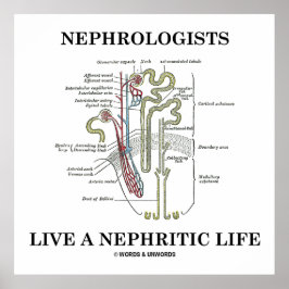 Pôster Nefrologistas Vivem Uma Vida Nefítica (Nephron)
