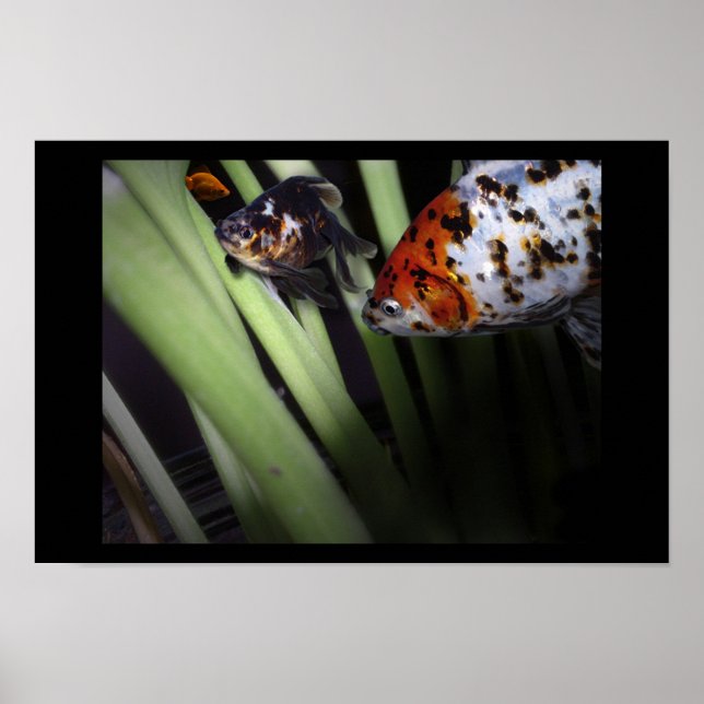 Pôster negócio da pesca (Frente)