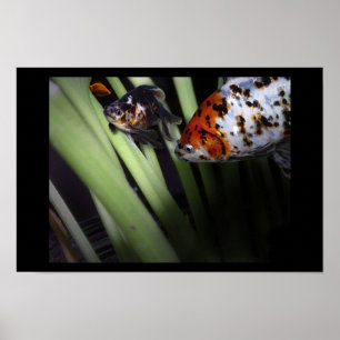 Pôster negócio duvidoso