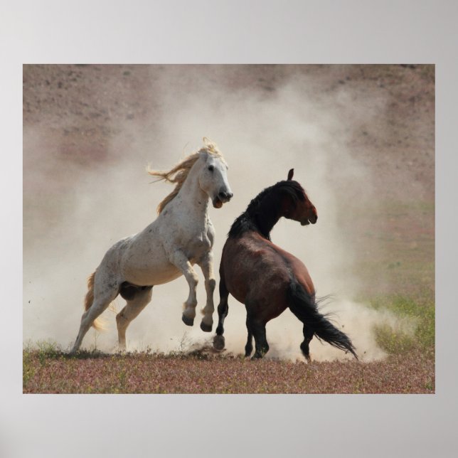 Pôster Negócios sujos (Frente)