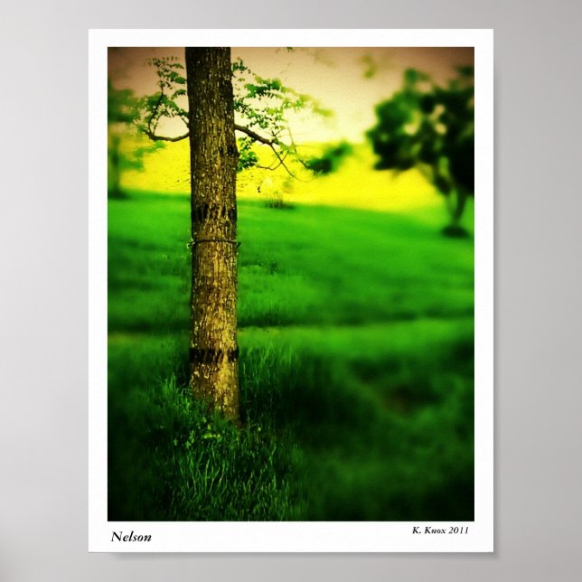 Pôster Nelson (Frente)
