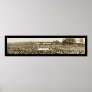 Pôster Nelson Britt Boxing Foto 1905