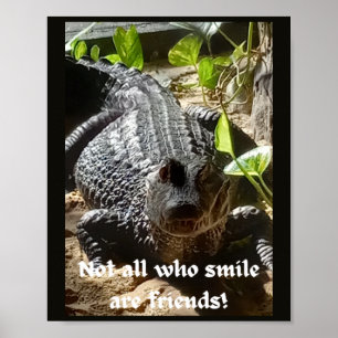 Poster Nem todos os que sorriem são inspiradores do amig