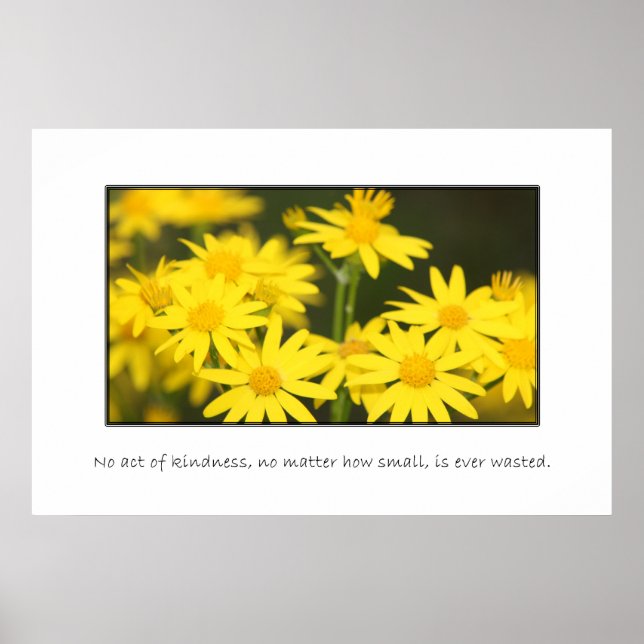 Pôster Nenhum ato de bondade é desperdiçado (Frente)