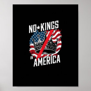 Poster Nenhum Rei Na América Decisão Judicial Protesto Sa