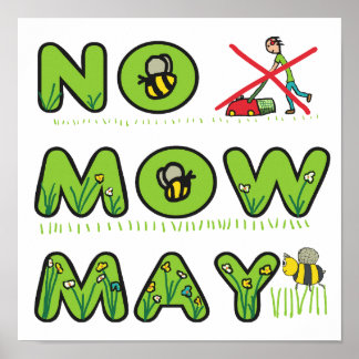 Poster Nenhuma Mow May