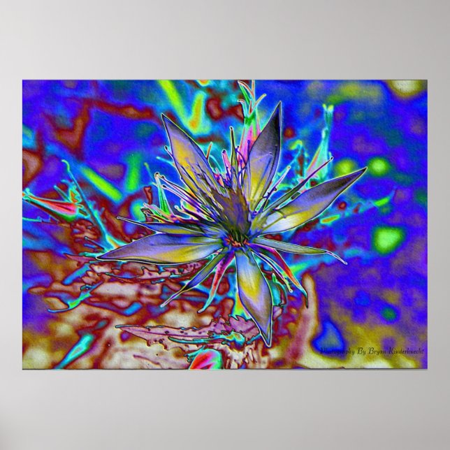 Poster Neon Star (Frente)