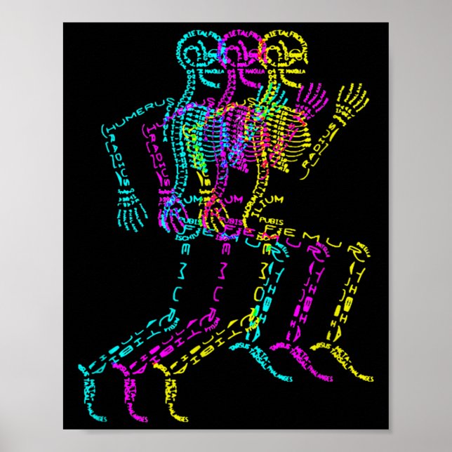 Poster Nerdy Skeleton Bones Labeled Funny Halloween Human (Frente)