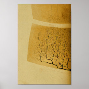 Pôster Nervos do sistema nervoso central do vintage 1886