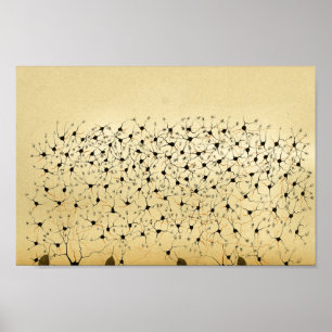 Pôster Nervos do sistema nervoso central do vintage 1886