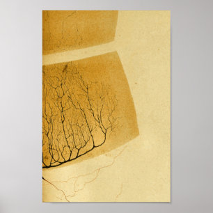 Pôster Nervos do sistema nervoso central do vintage 1886