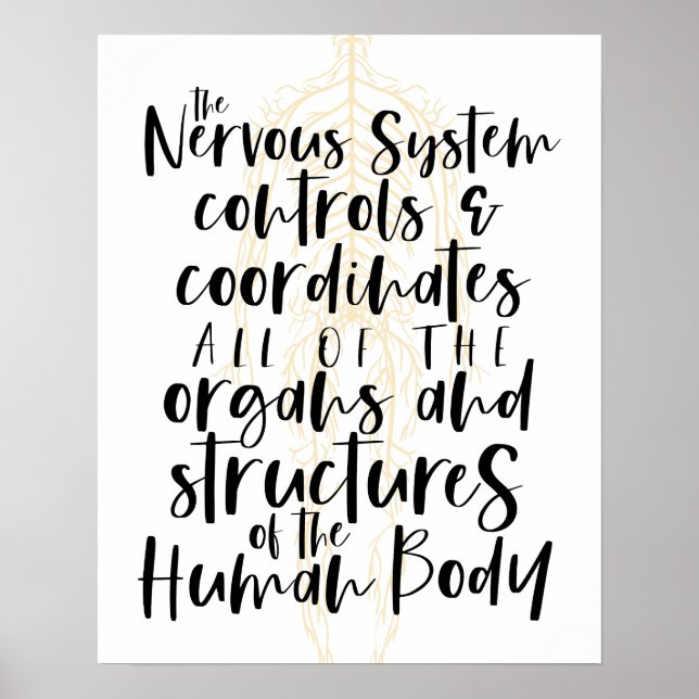 Poster Nervous System Poster, Chiropractic Poster, Chiro  (Frente)