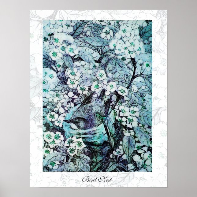 Poster NEST DO PÁSSARO, azul branco (Frente)