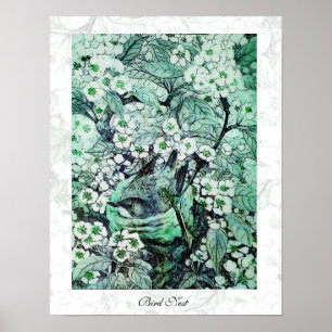 Poster NEST DO PÁSSARO, verde branco