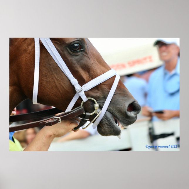 Poster Nest - vencendo imundo (Frente)