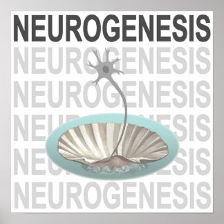 Poster Neurogênese