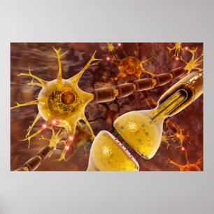 Poster Neurônio