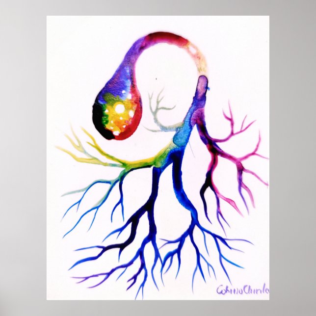 Poster Neurônio unipolar (Frente)