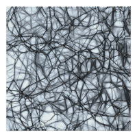 Neurônios