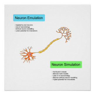 Pôster Neurônios