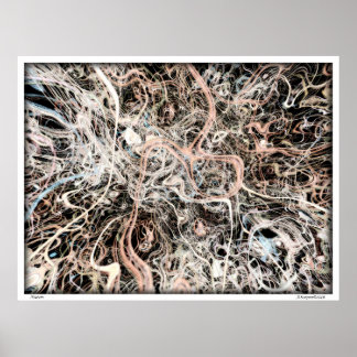 Pôster Neurônios