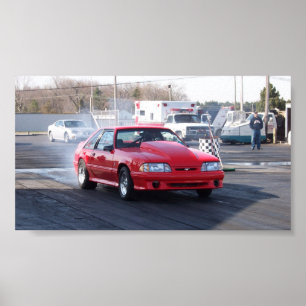 Pôster Neutralização de 93 cobras