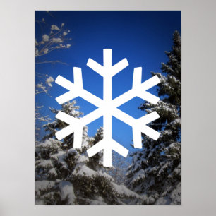 Poster nevado da cena
