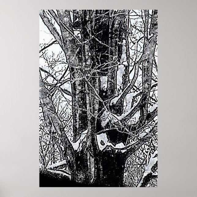 Poster nevado do bordo os presentes de Zazzle do (Frente)