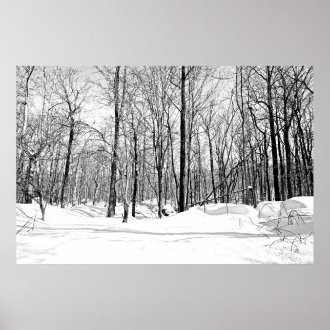 Poster Neve cega (Frente)