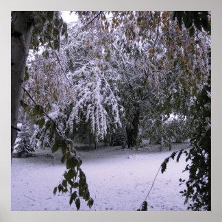 Pôster Neve de inverno