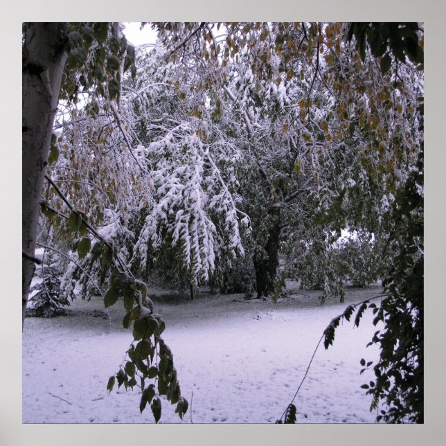 Pôster Neve de inverno (Frente)