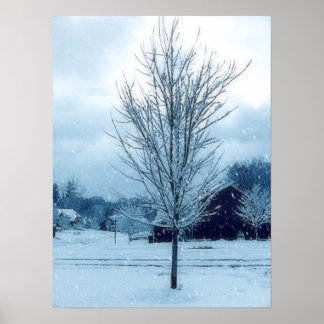 Pôster Neve de inverno