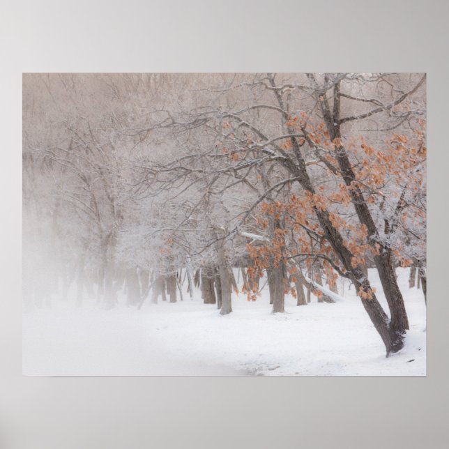 Poster Neve de inverno | Lago Kussharo (Frente)